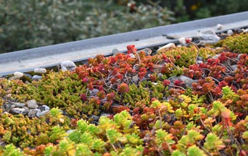 the cost of Sexhow green roof installation
