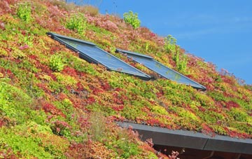 Sexhow living roof systems