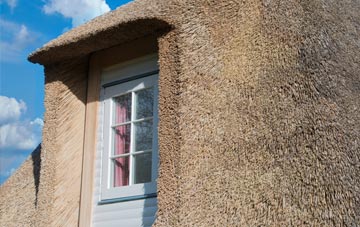 Sexhow thatch roof disadvantages